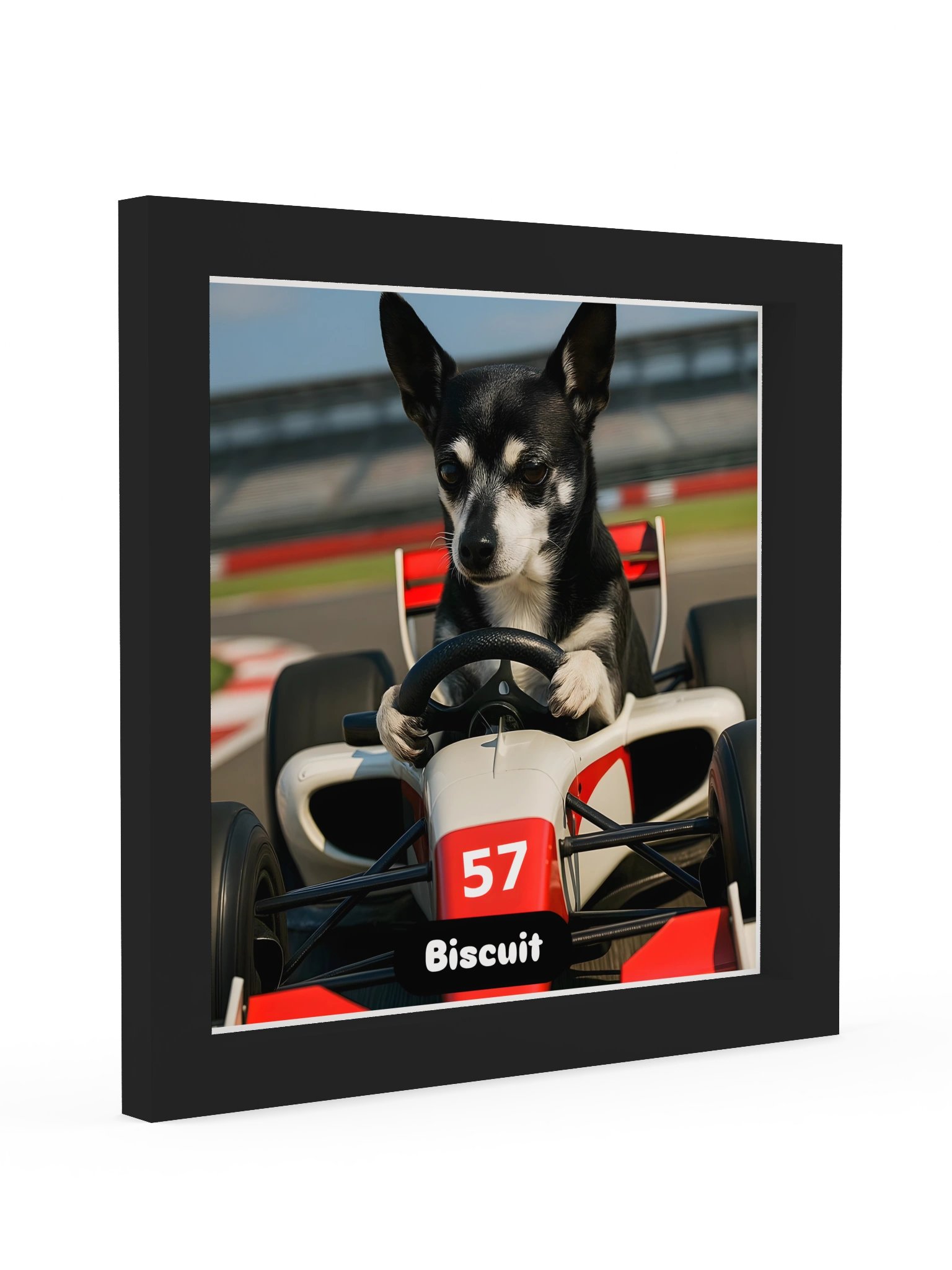 Biscuit at Silverstone product image (4)
