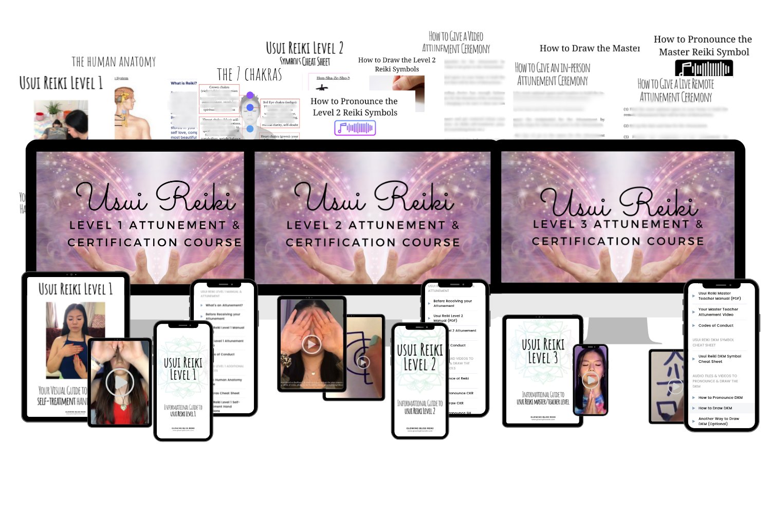 Certified Usui Reiki Discounted Bundle product image (1)