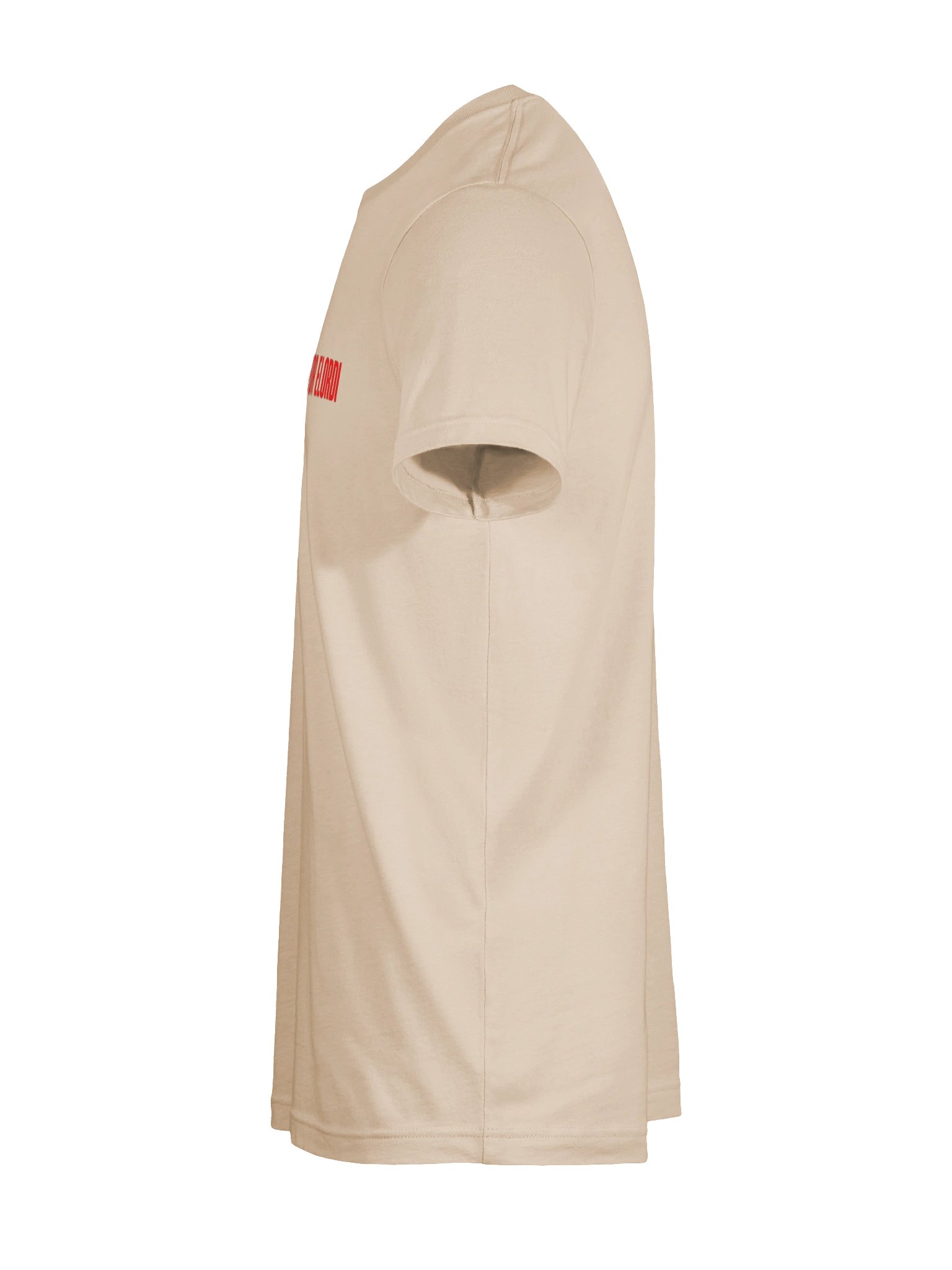 NEXT IN ROTATION FOR ELORDI | Tee product image (12)