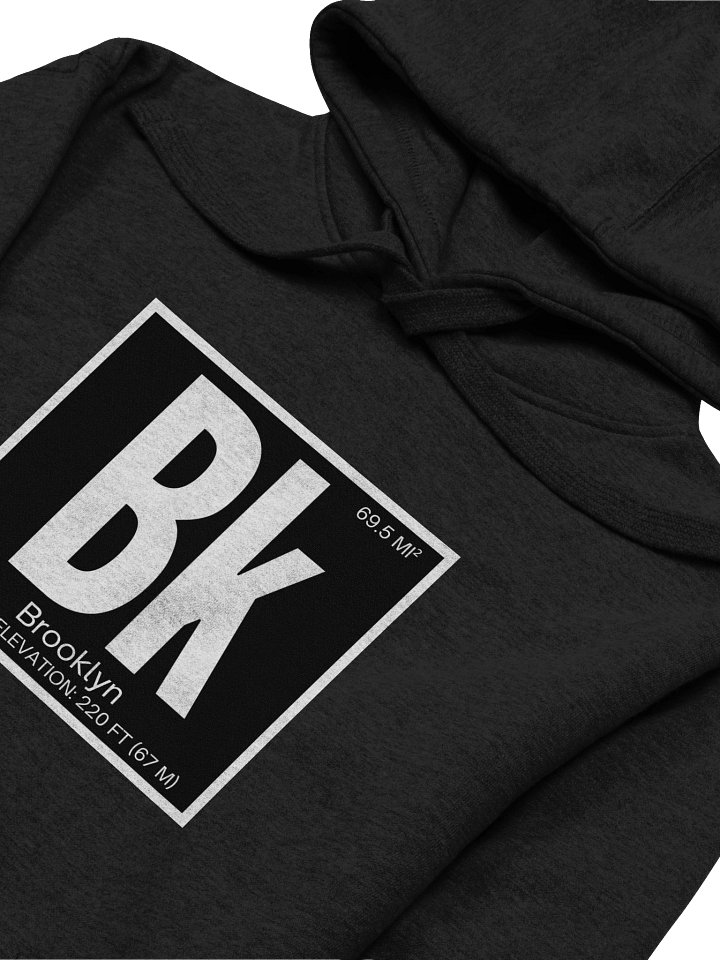 Brooklyn Element : Hoodie product image (2)