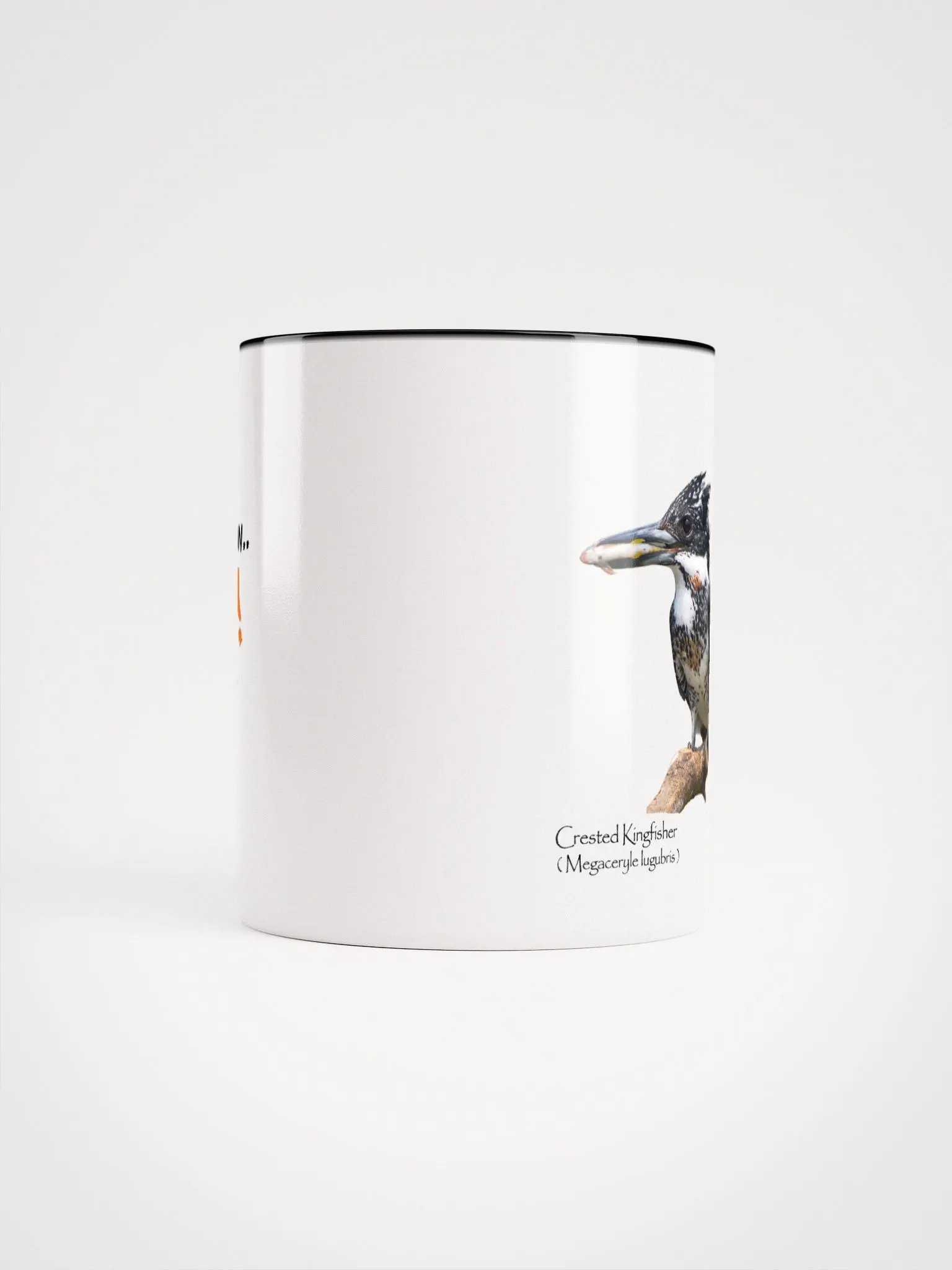 Crested Kingfisher mug product image (49)