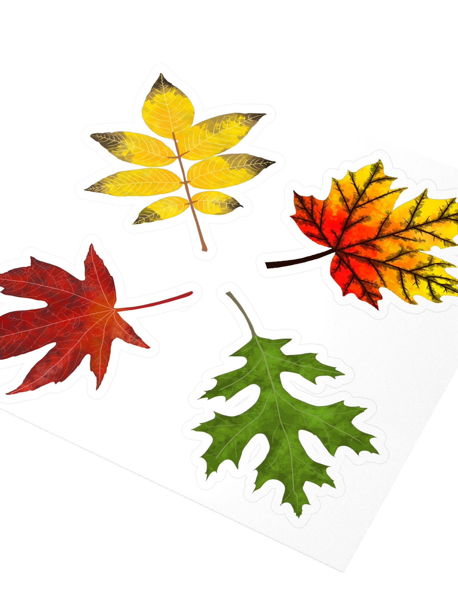 Fall Color Leaf Stickers product image (3)