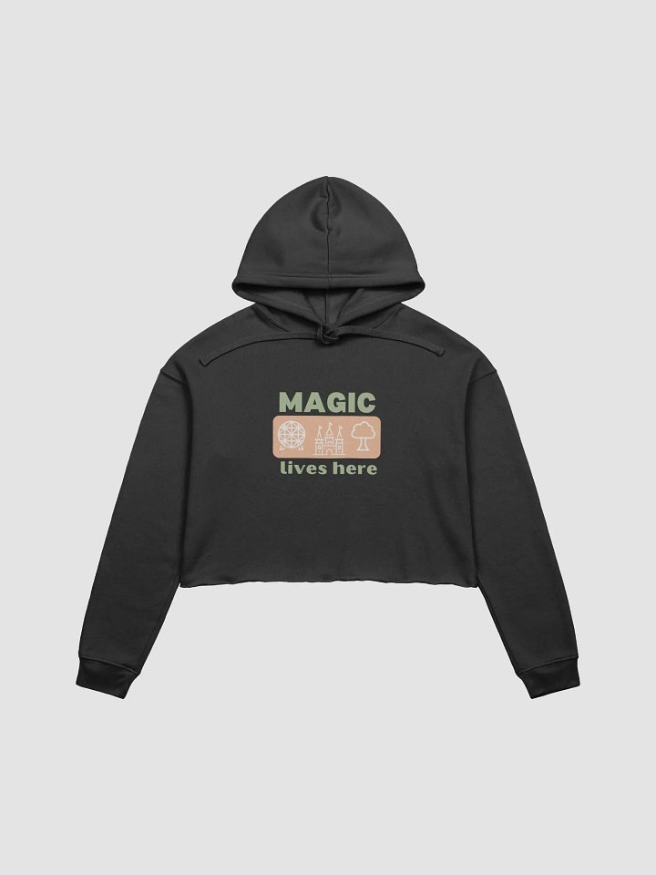 Fashion Meets Fairytale: Disney Magical World Attractions Crop Hoodie Dark Colors product image (2)