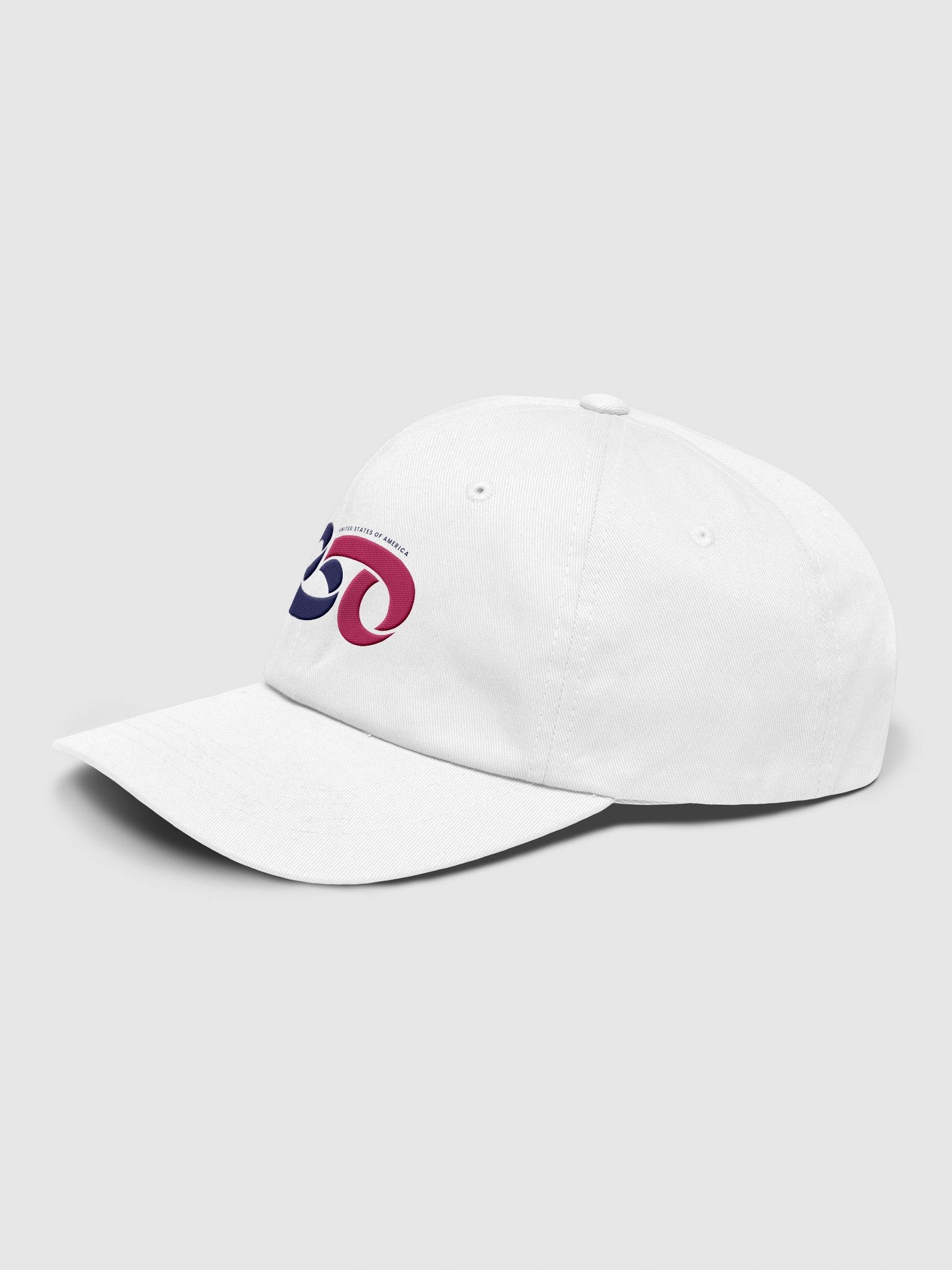 America 250 Dad Hat product image (7)
