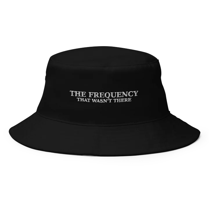 The Frequency that Wasn't There product image (1)