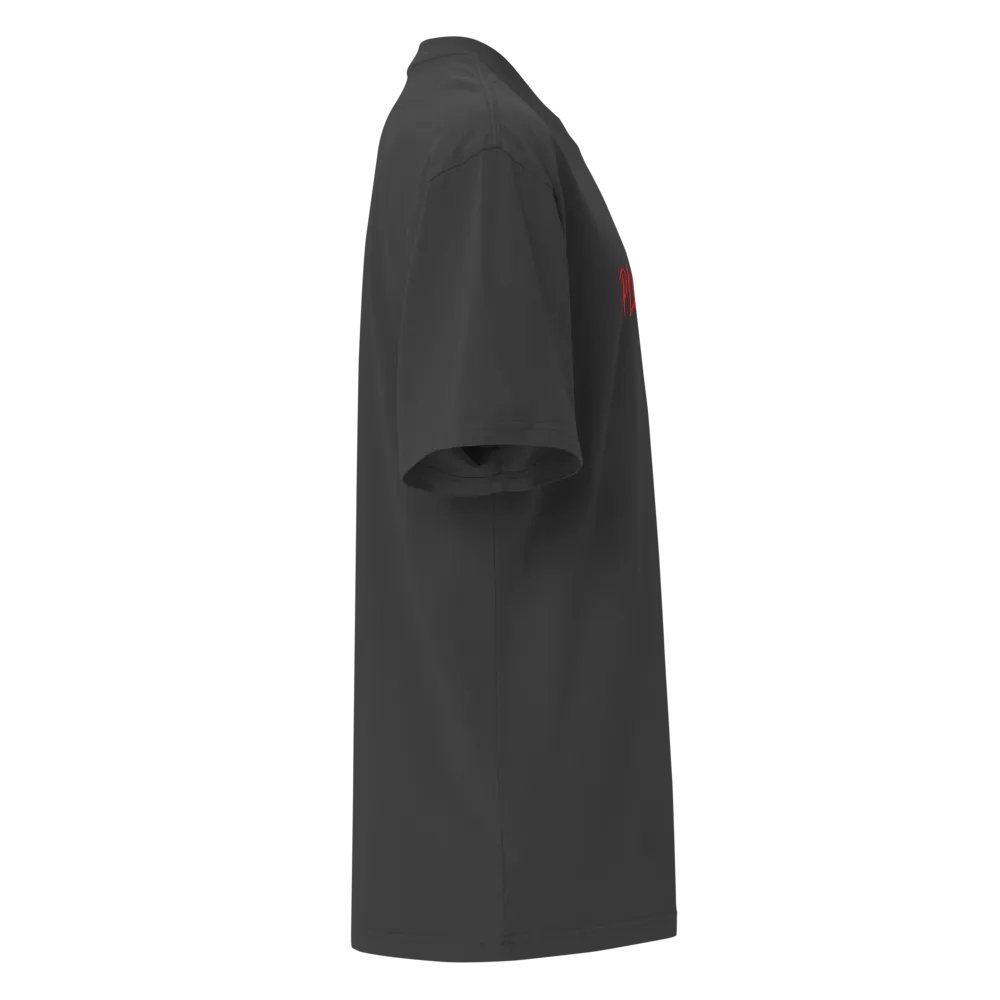 Plot Armor Oversized Basic Tee product image (6)