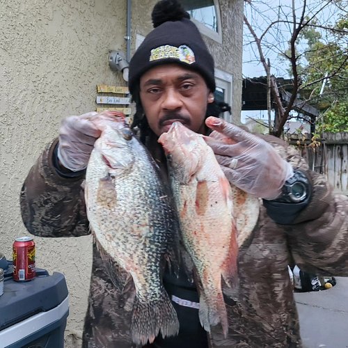 Finally, I got out to Clearlake to do some catching! Shot out to Crappie Closet Lures! Phenomenal baits! @crappie_closet_lure...