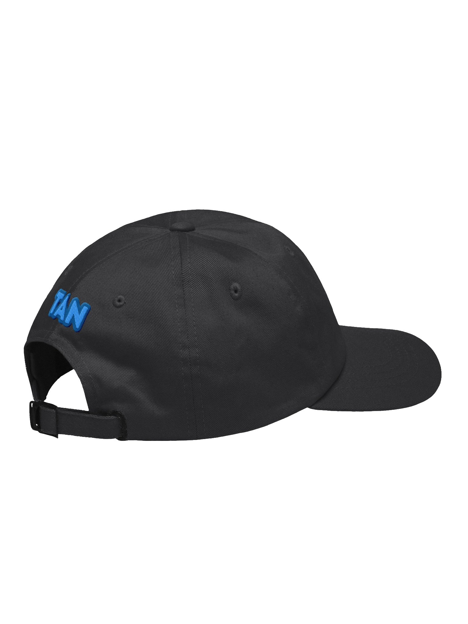 The Advertising Network Dad Hat product image (4)