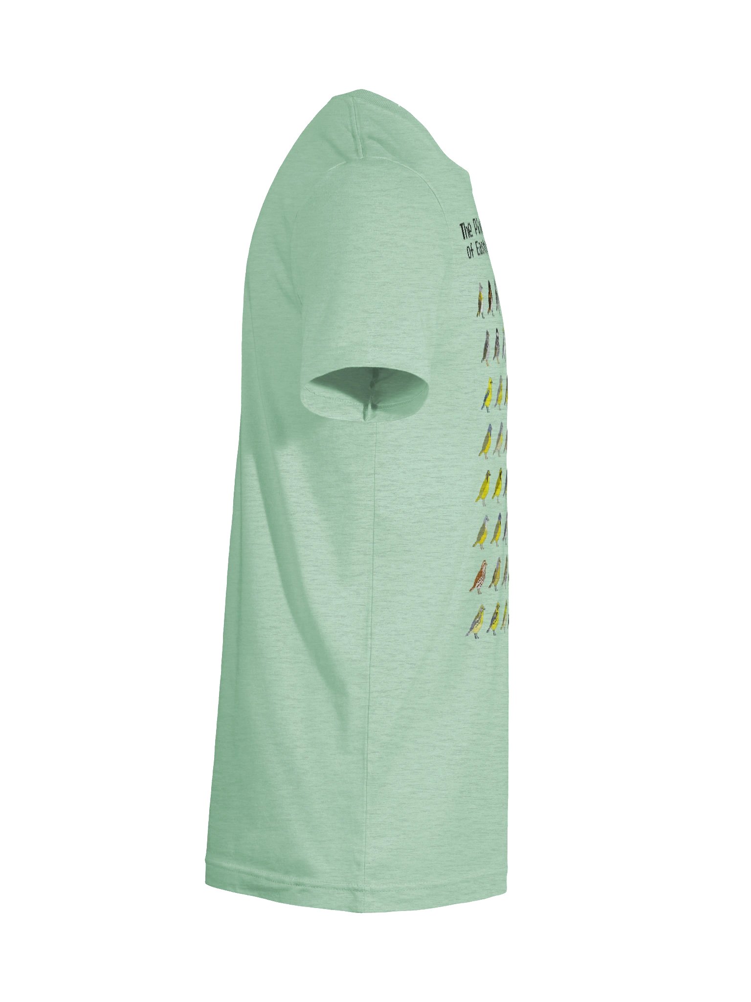The Pixelated Warblers of Eastern North America Supersoft Tee (black text) product image (12)