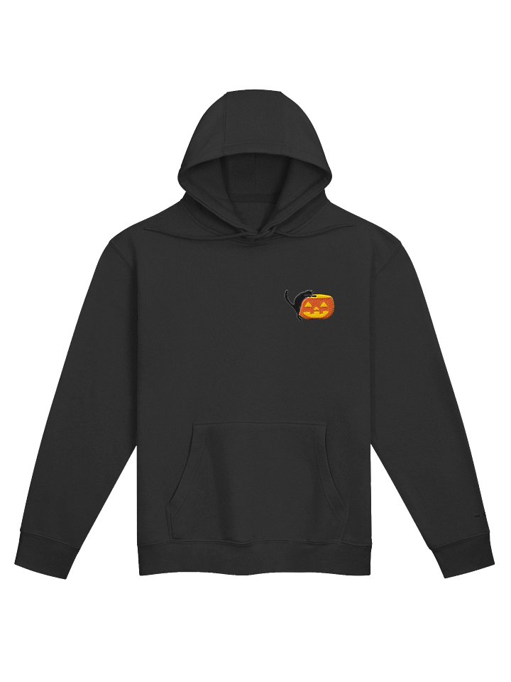 Curious Cat (Hoodie) product image (4)