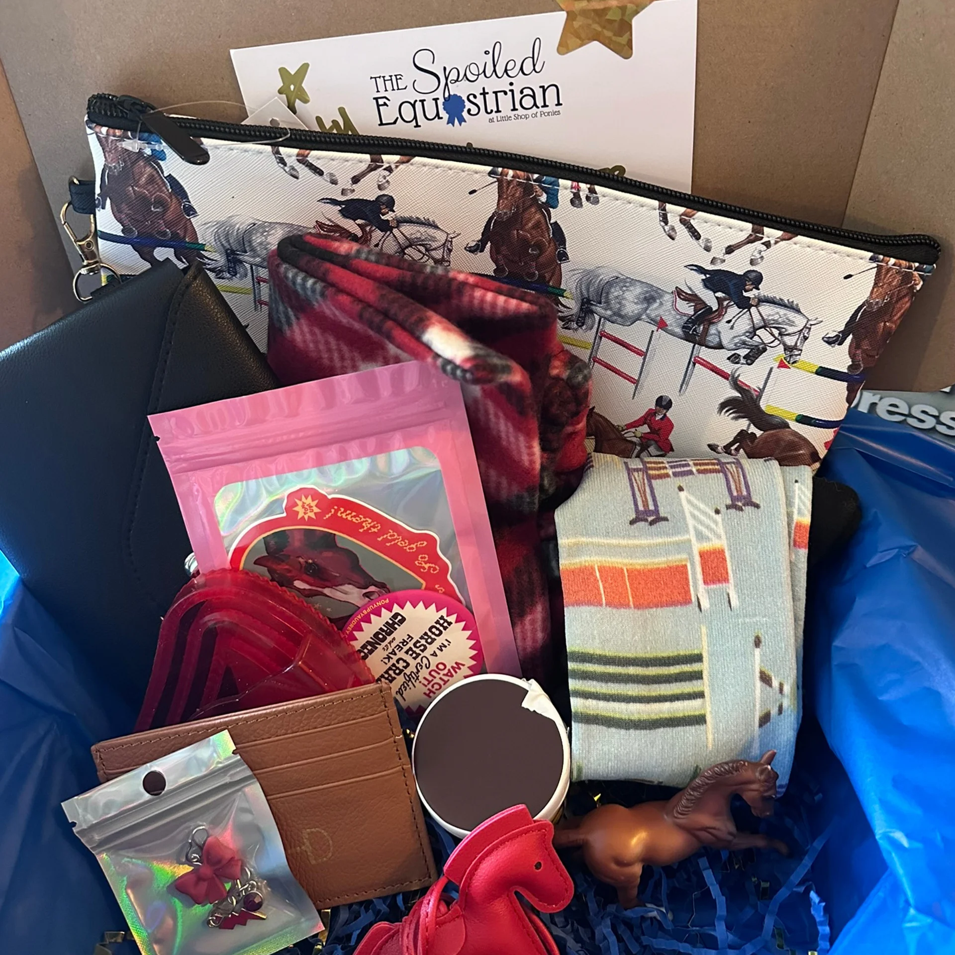 The Spoiled Equestrian Scoops 14 Mystery Pulls product image (6)