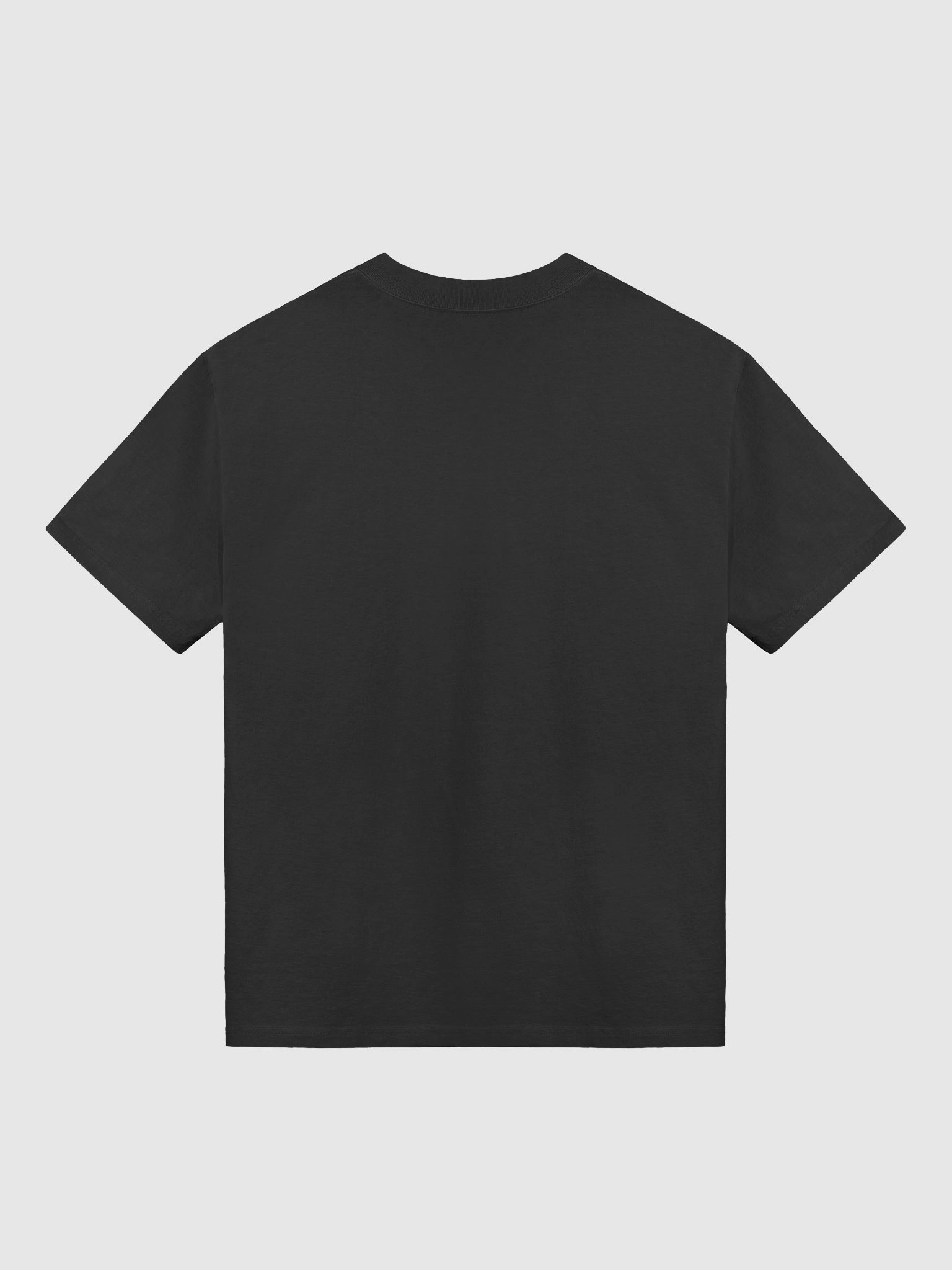 Oversized Swan Tee product image (2)