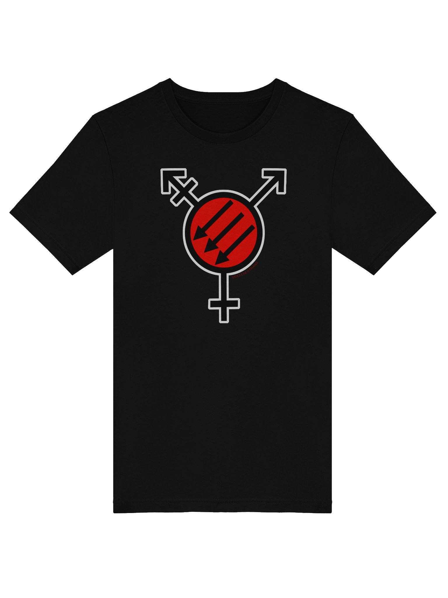 Transtifa BC Tee product image (5)
