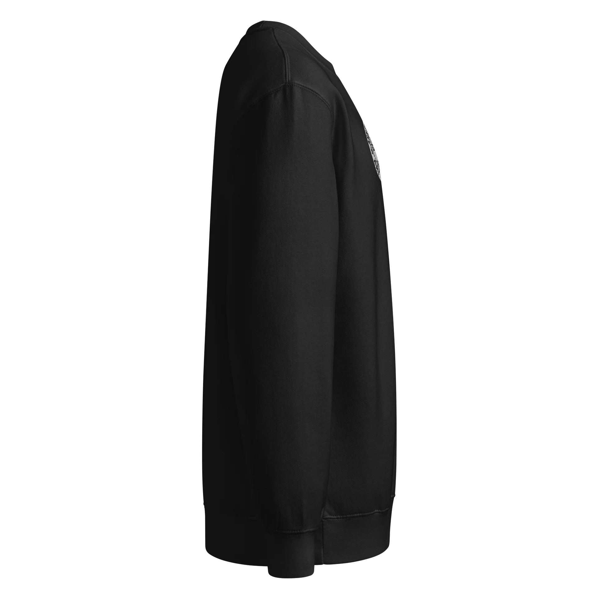AshTree Anomaly Black Sweatshirt product image (4)