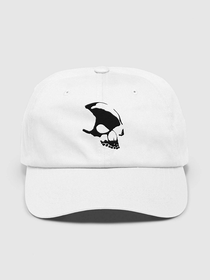 Armada Skull White Dad Hat product image (1)