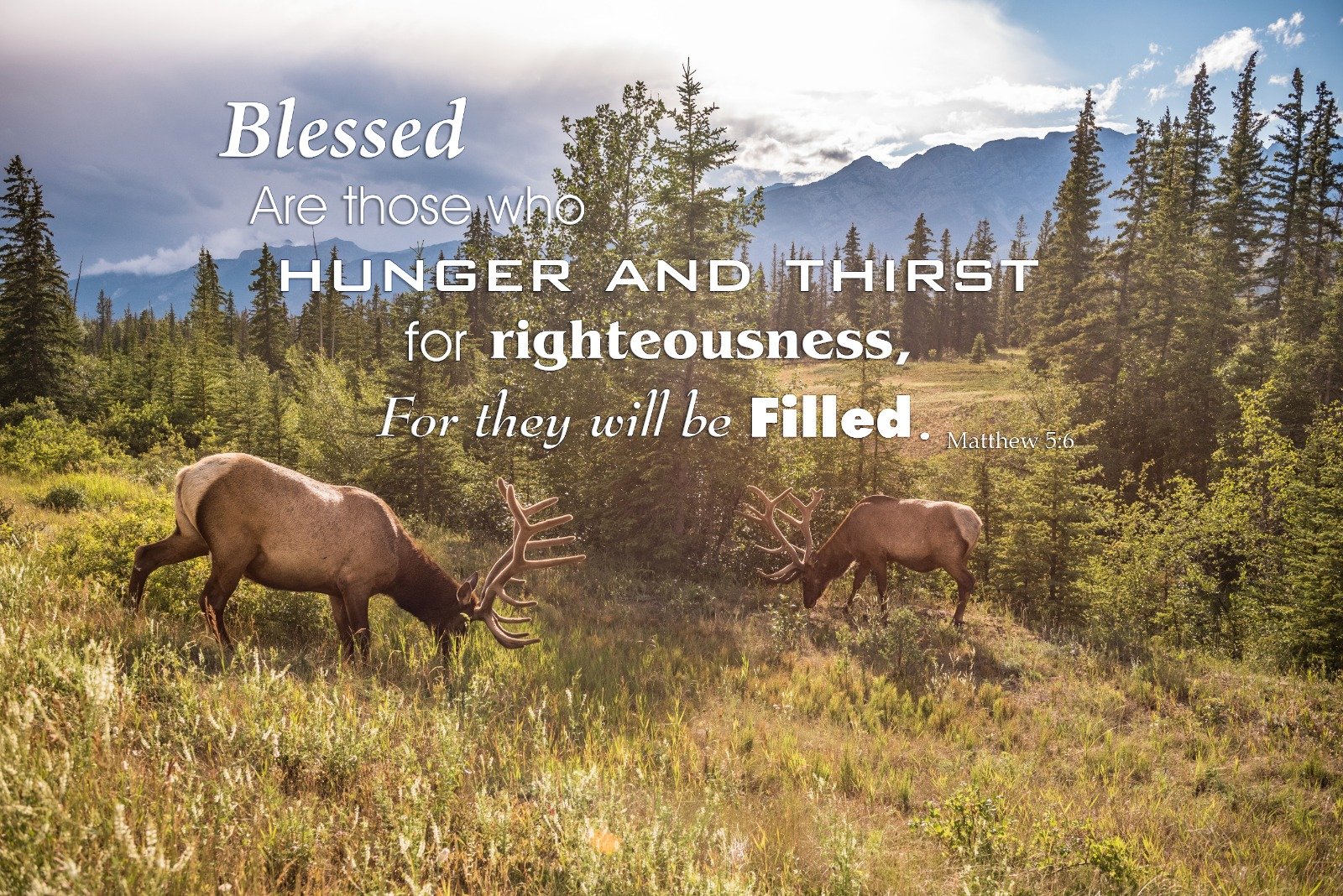 Matthew 5:6 Blessed Are Those Who Hunger Canvas Art product image (4)