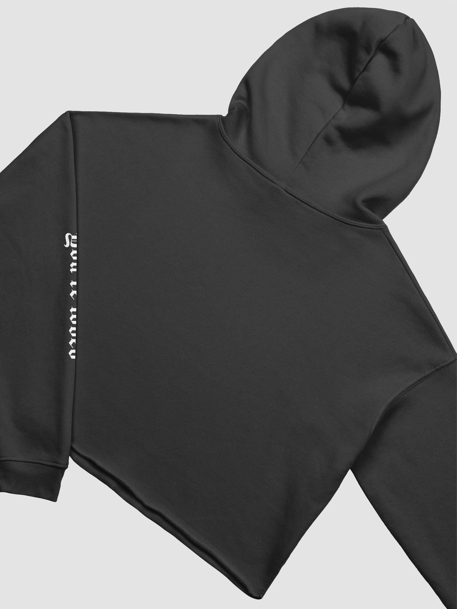 CCC Cropped Hoodie product image (4)