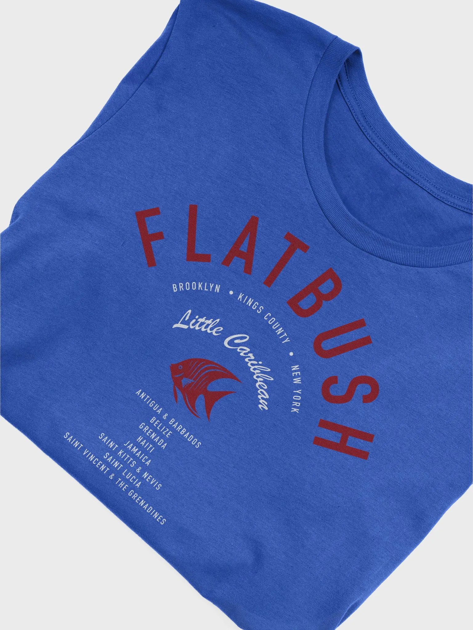 Flatbush Little Caribbean St Maarten product image (5)
