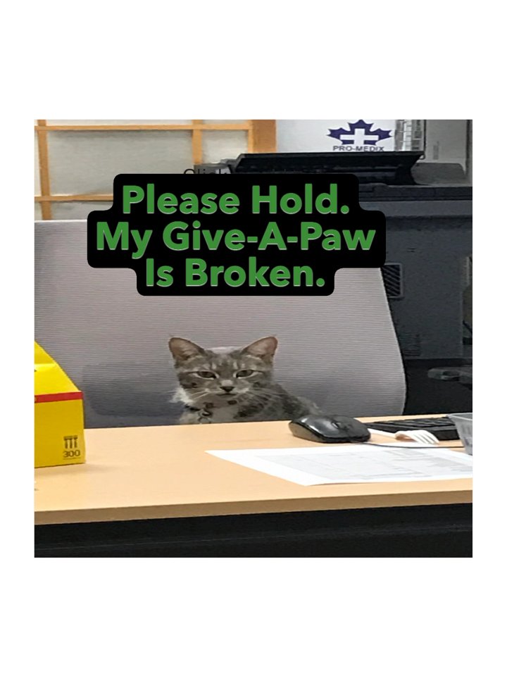 Office Cat Give-A-Paw Sticker product image (2)
