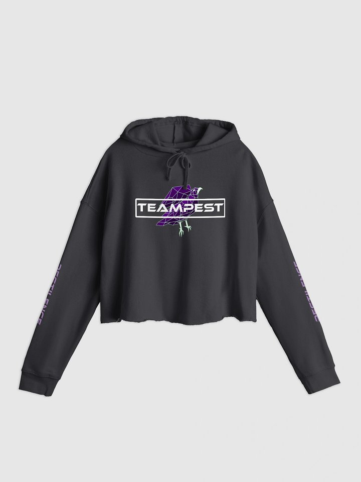 TeamPEST Cropped Hoodie product image (1)