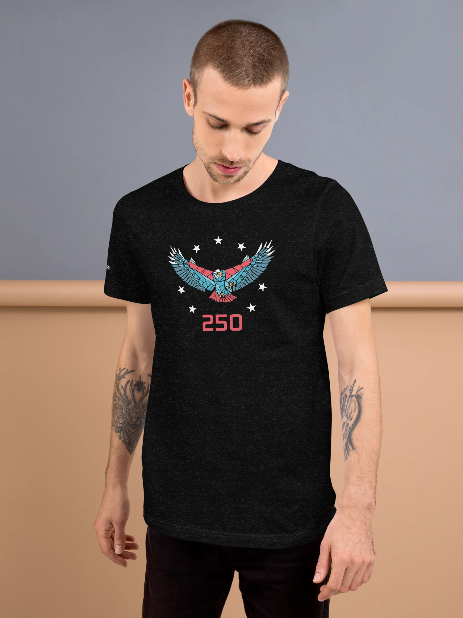 250 SPIRIT EAGLE product image (4)