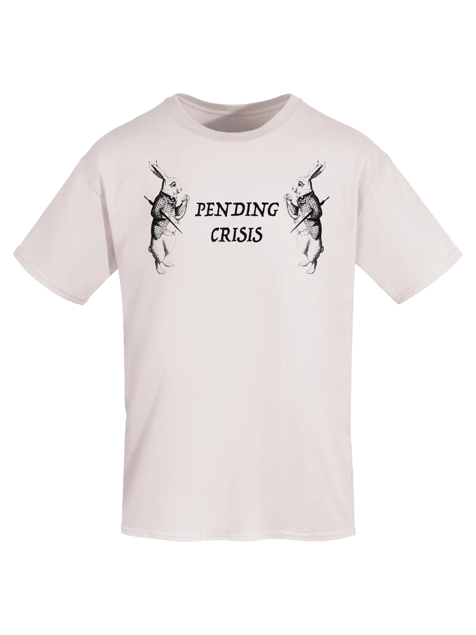 PENDING CRISIS product image (35)