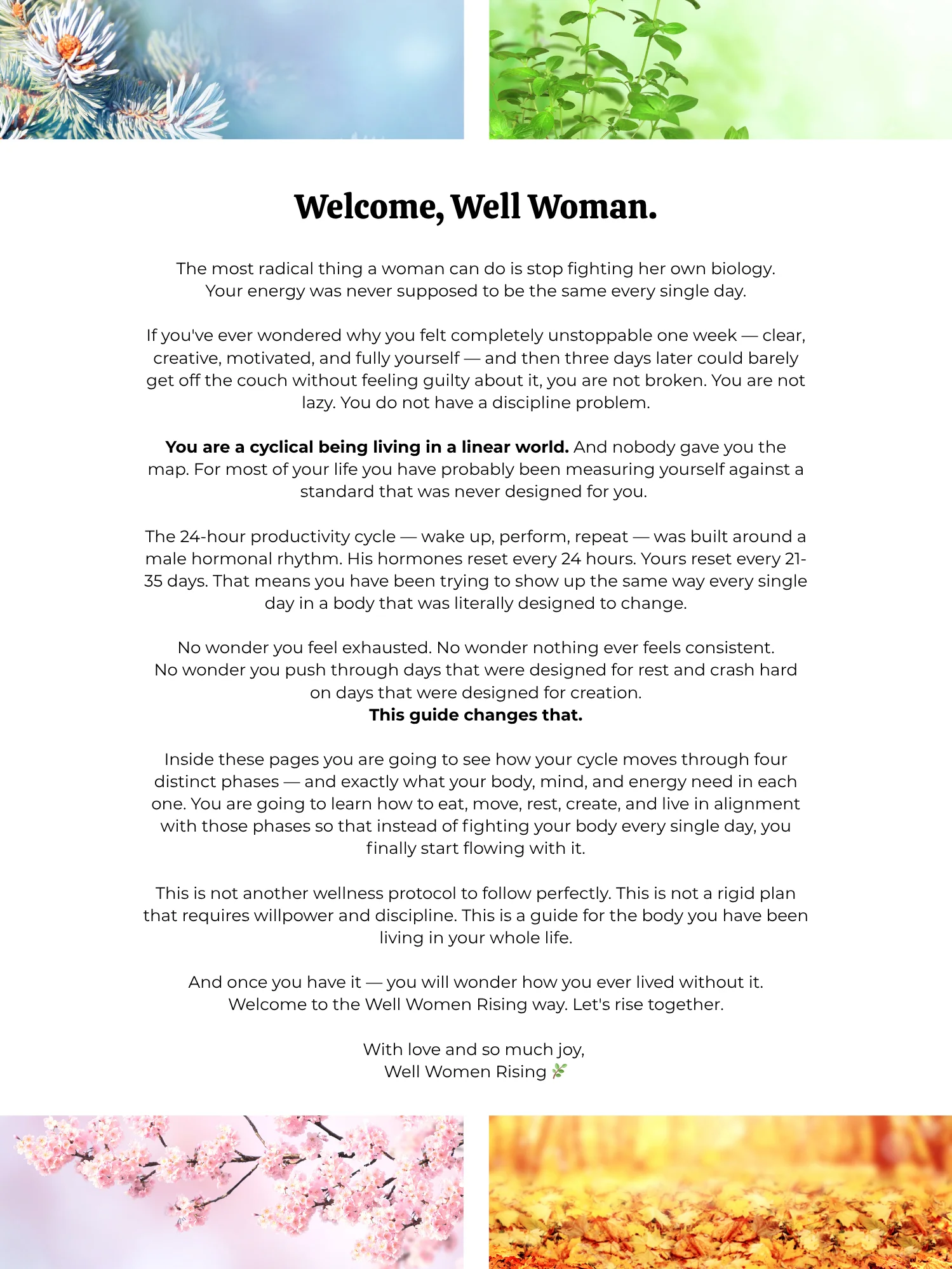 Womb Cycle Syncing Guide product image (2)
