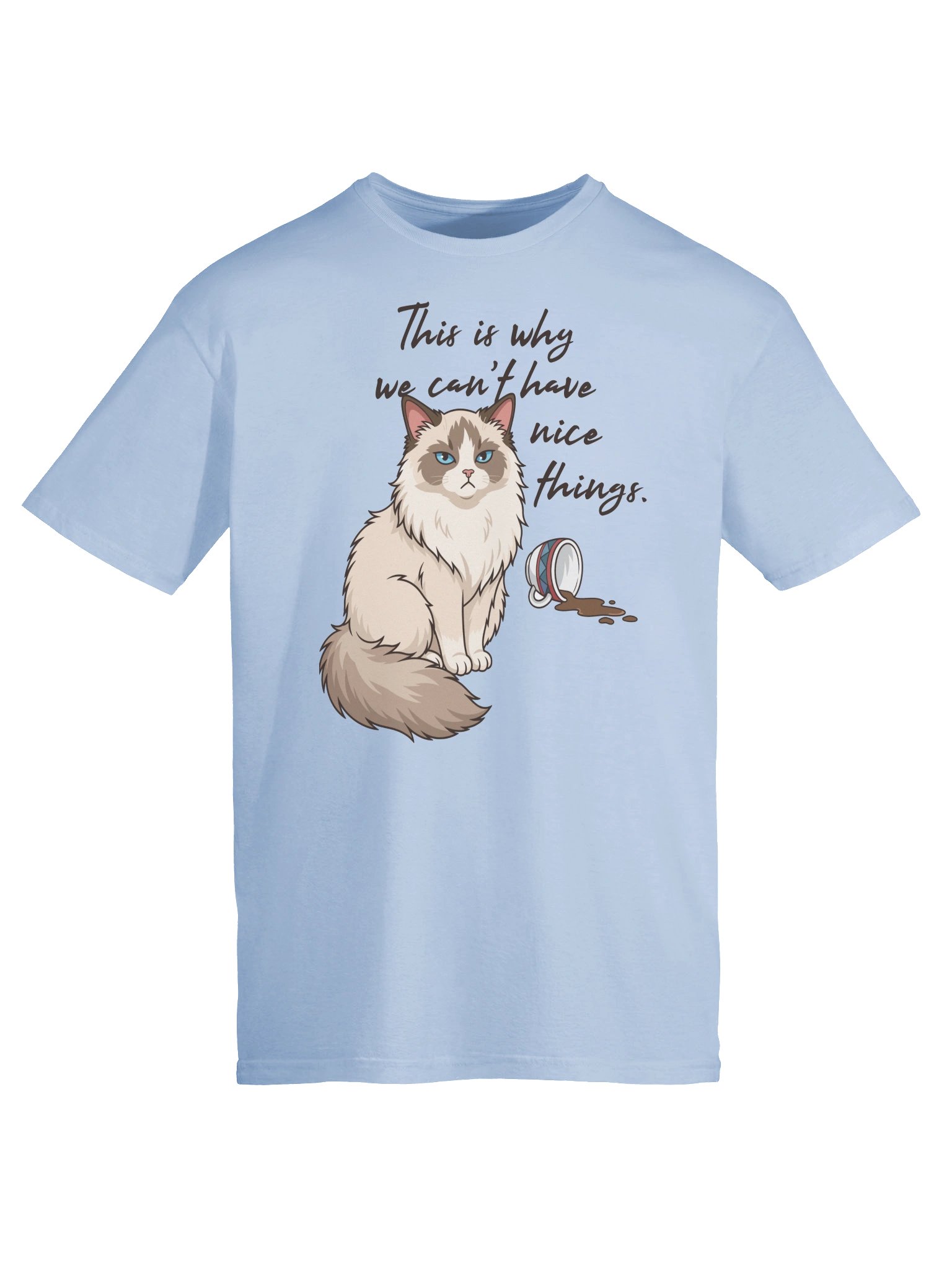 We Can't Have Nice Things Tee product image (26)