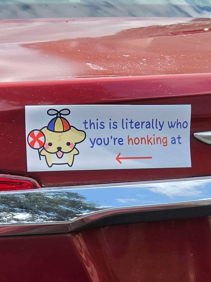 This is Who You're Honking at Bumper Magnet product image (1)