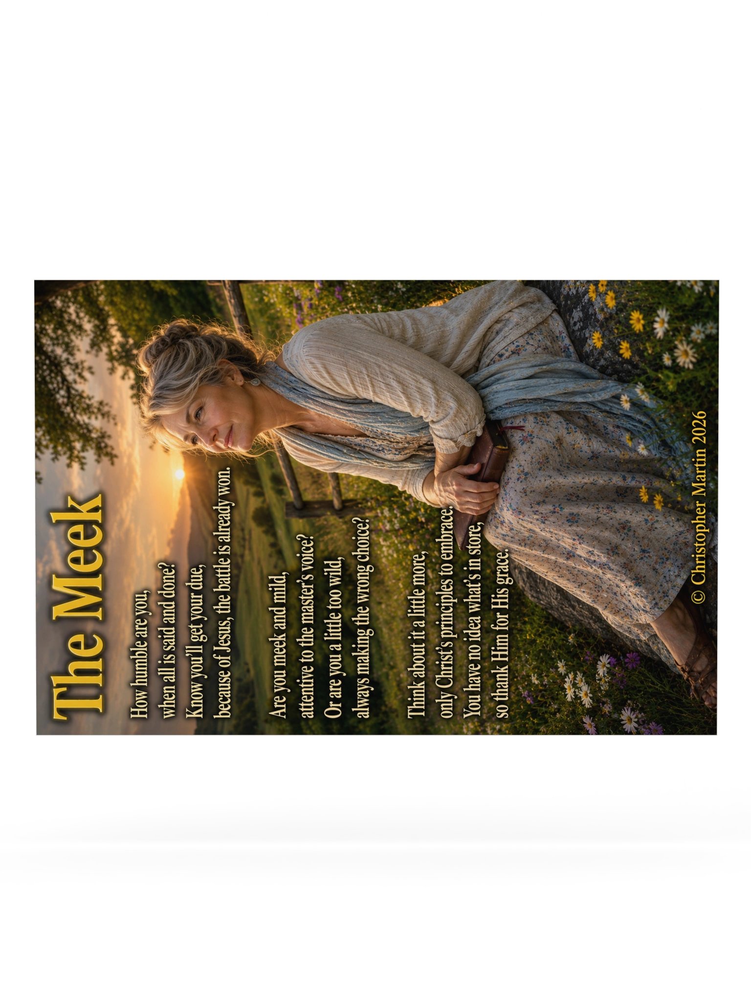The meek product image (6)
