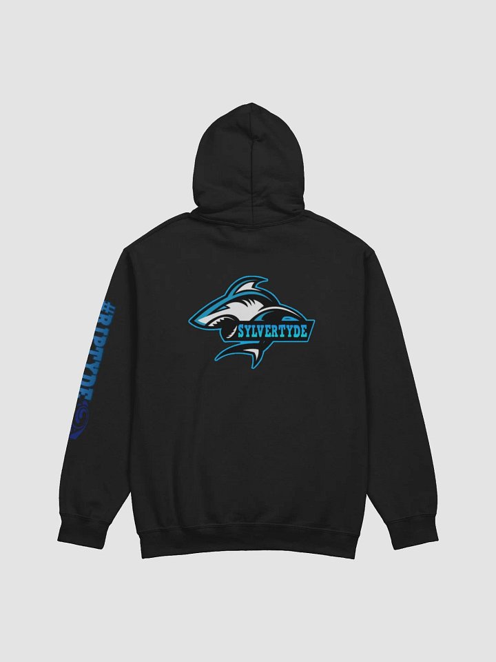 Sylvers Hoodie product image (2)