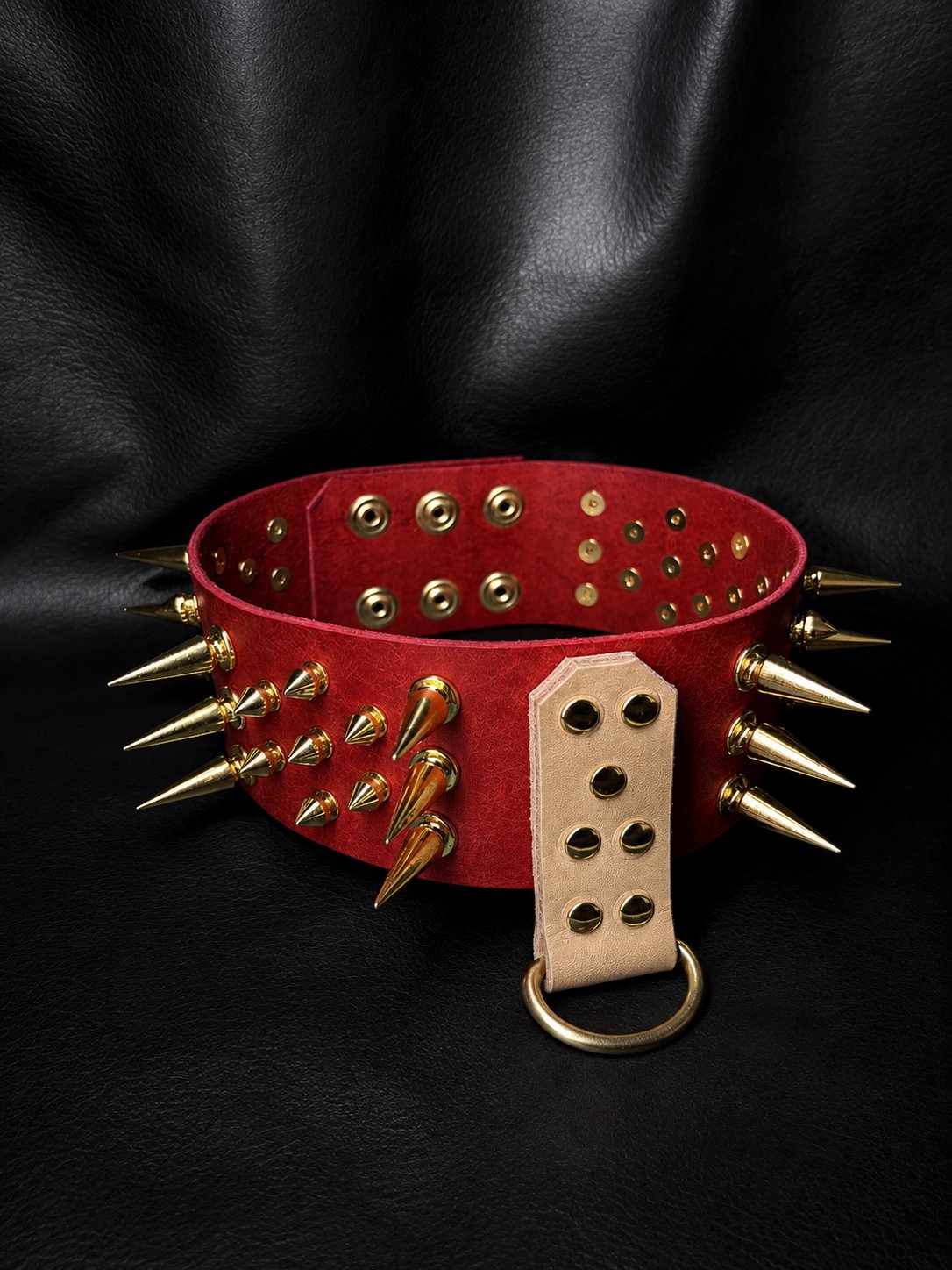 Aries Signature Collar product image (2)