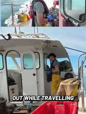 Swallowing a fly 🤢🤣