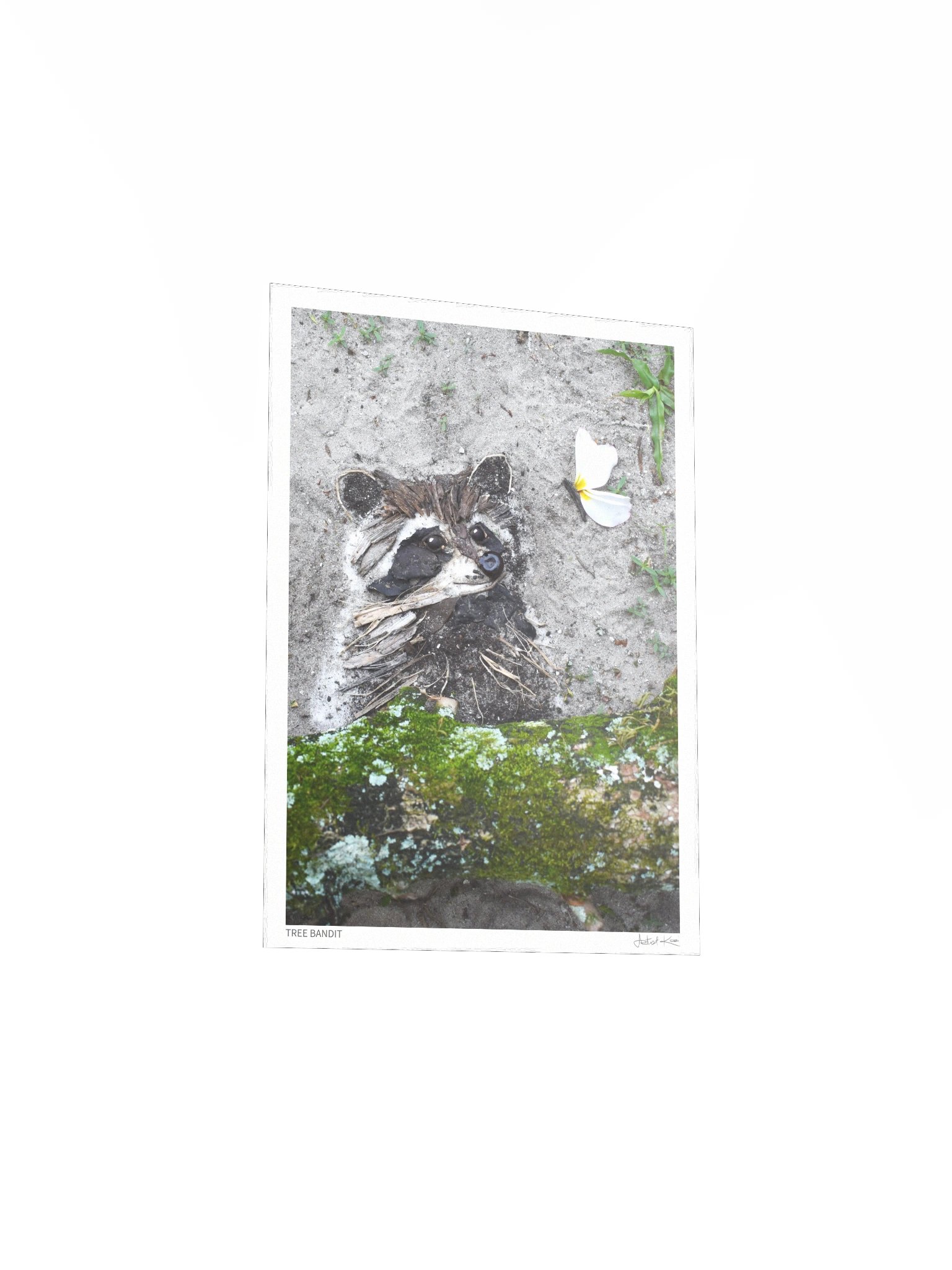 TREE BANDIT | Fine Art Print product image (4)