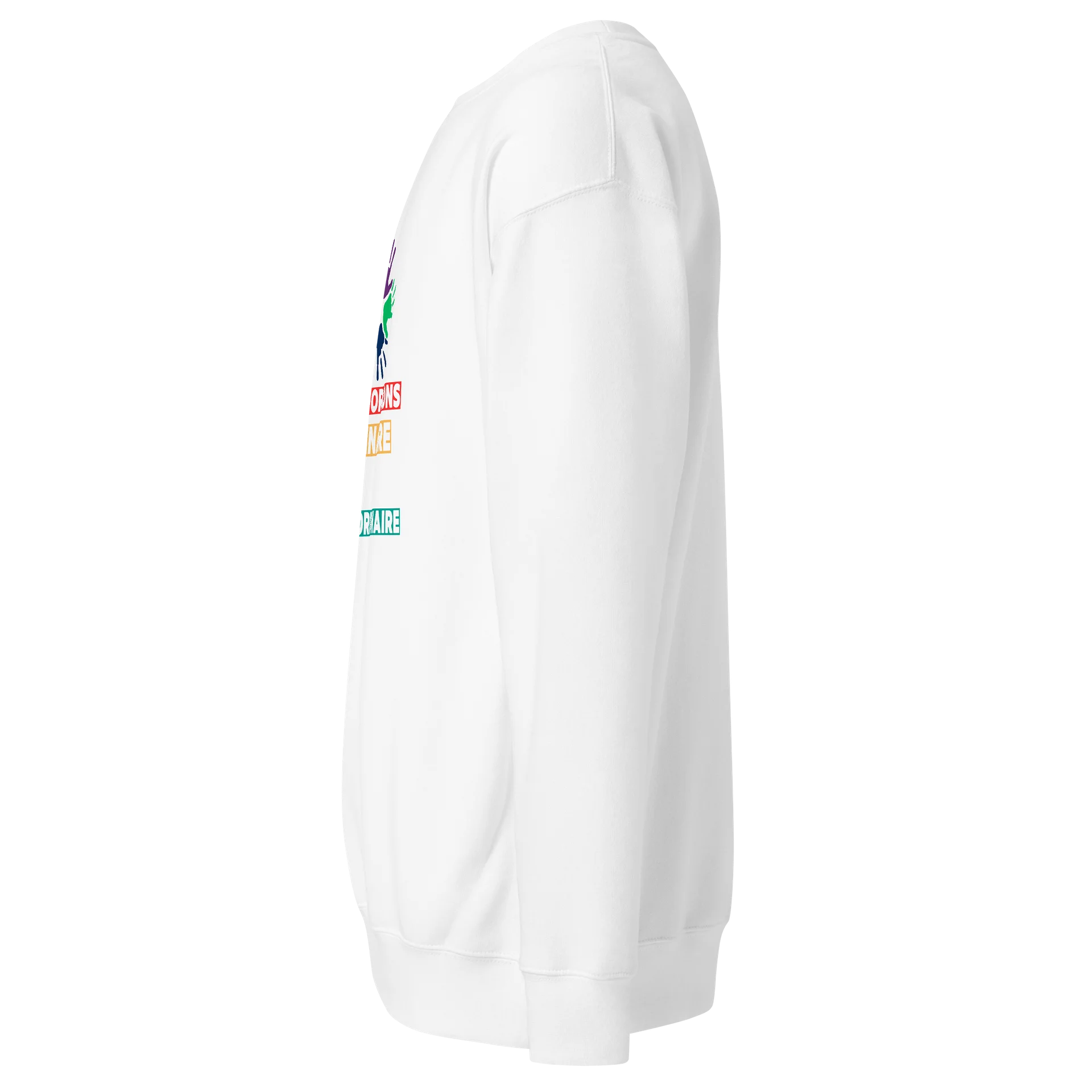 Transformons l’Ordinaire en Extraordinaire Sweatshirt product image (2)
