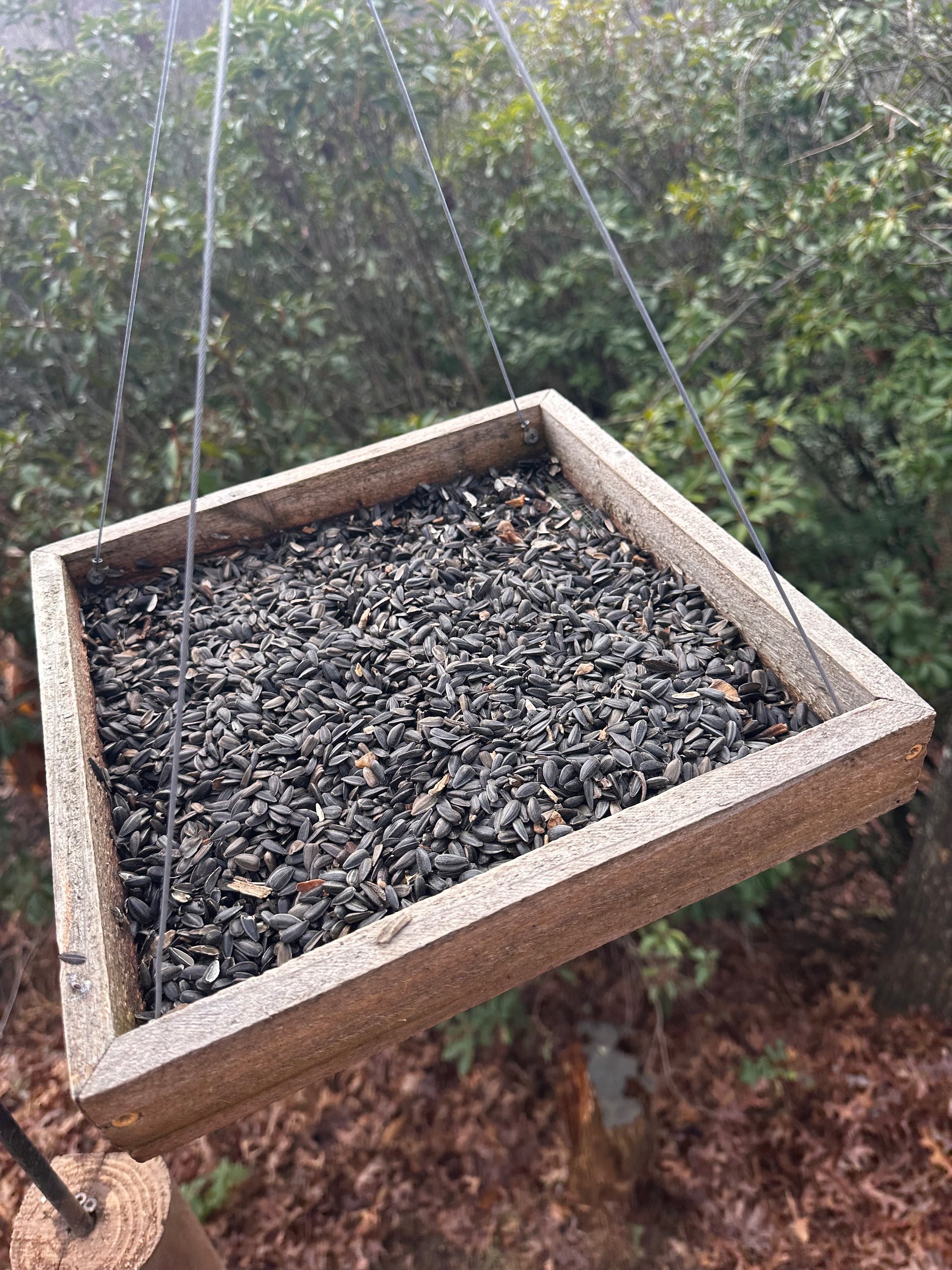 Handcrafted Cedar Hanging Platform Feeder – 12×12 in (Black Oil Sunflower Seed Tray) product image (4)
