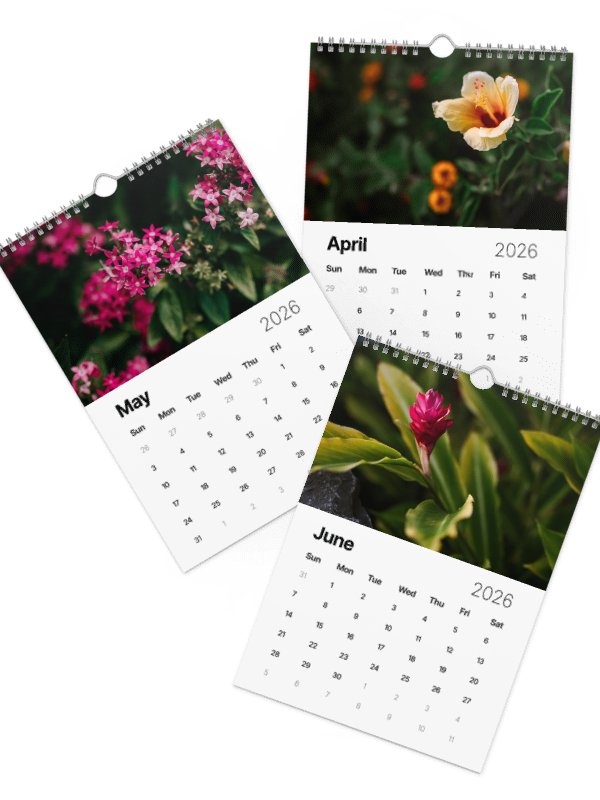2026 Maui Flora Calendar - Photography by Kayla x Ruble product image (3)