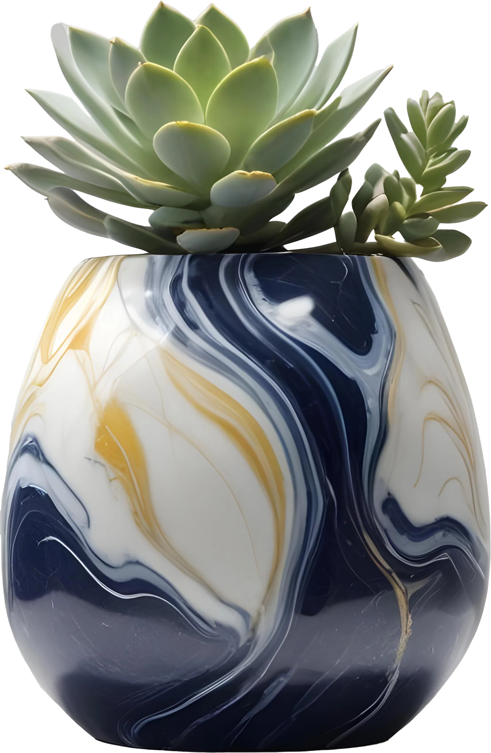 Golden Tides – Provence-Style Succulent Bowl PNG product image (1)