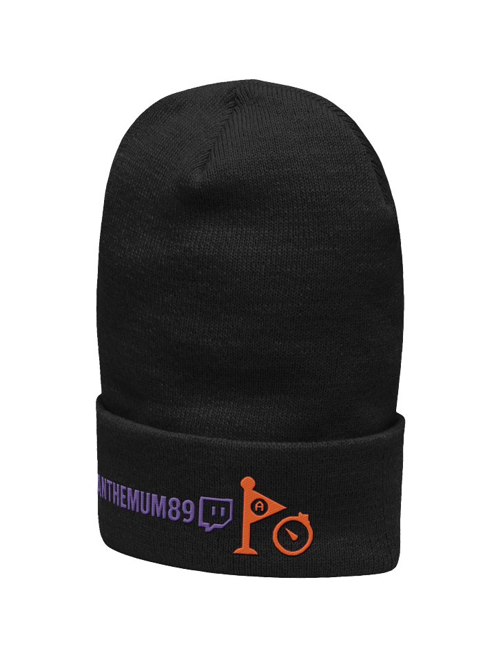 World Record Beanie product image (2)