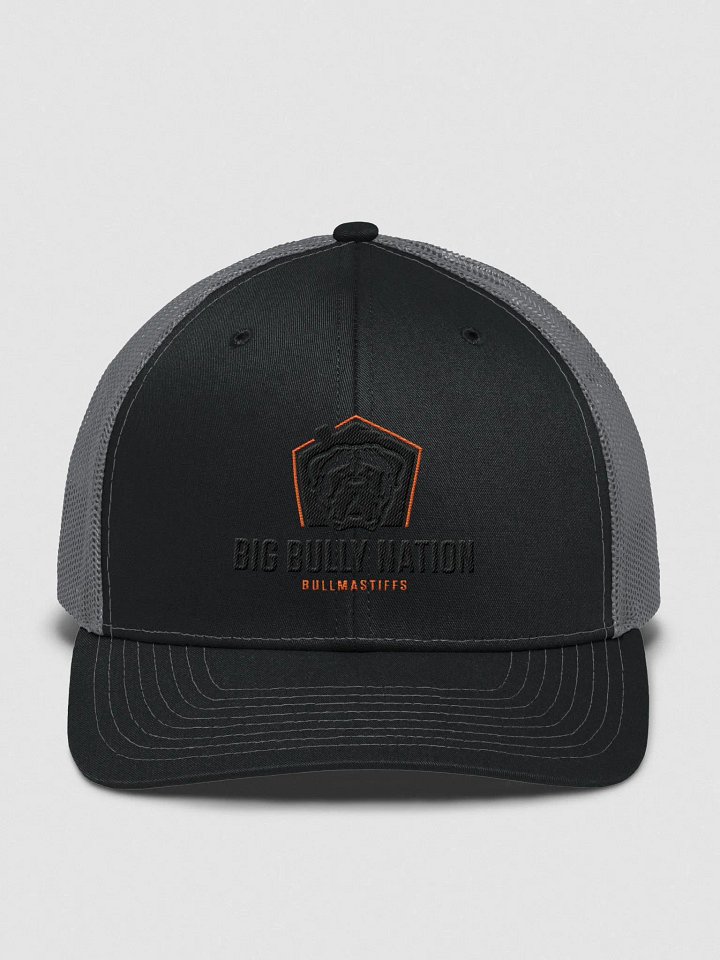 BBN Logo 1 Snapback Trucker Hat product image (4)