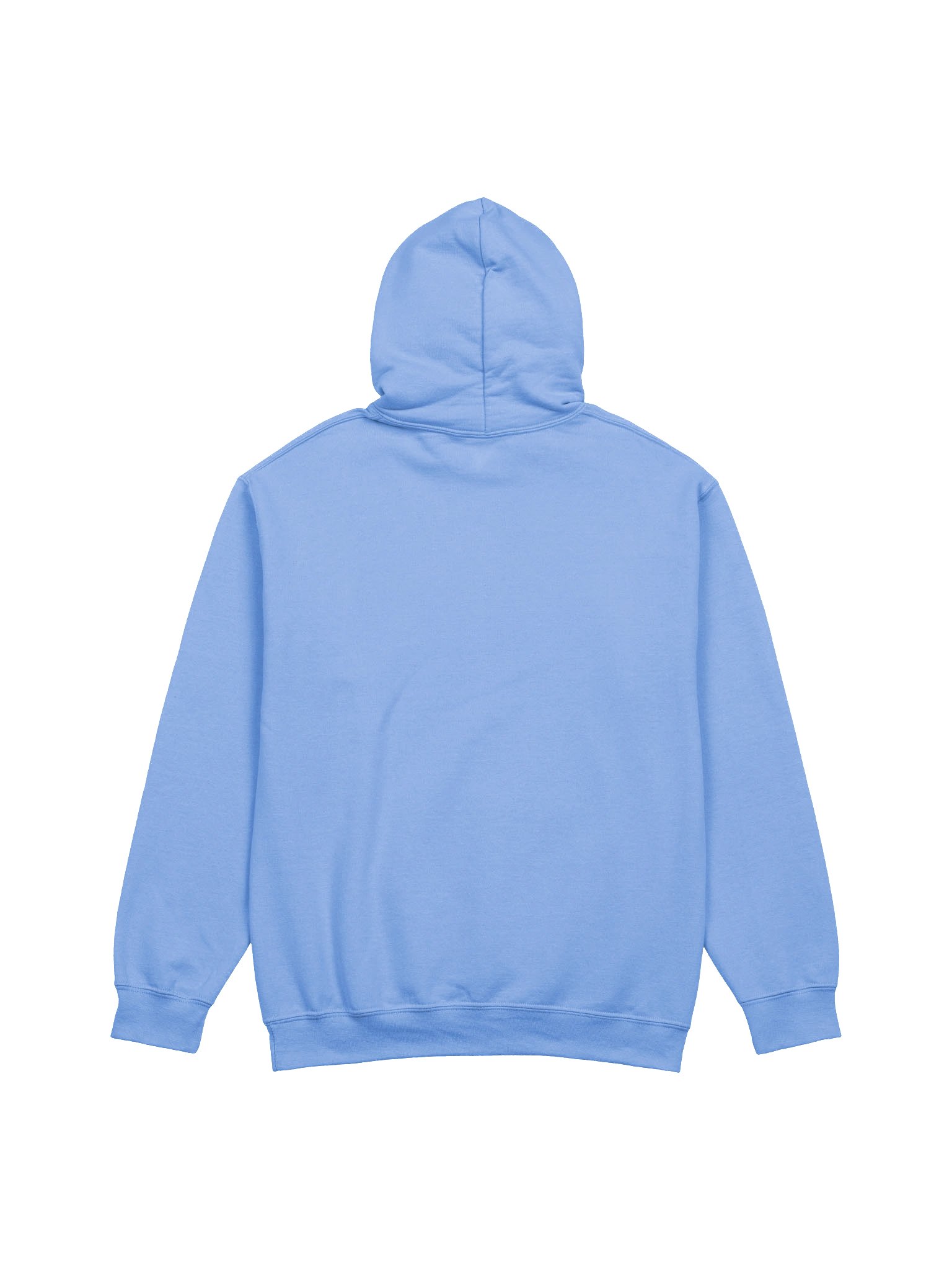 PORCH PALS HOODIE product image (3)