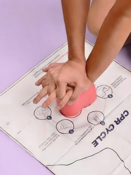 CPR Training Heart Model product image (1)