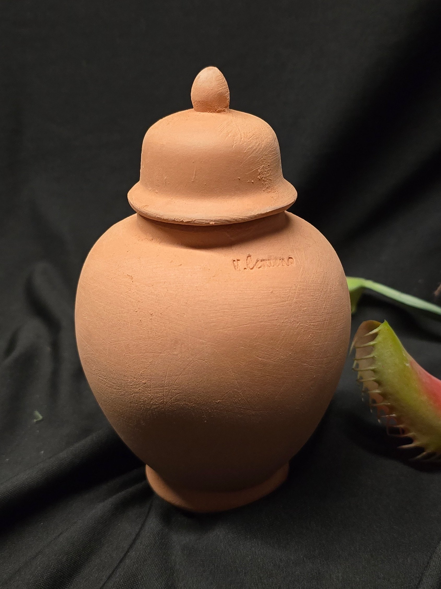 Terracotta Houseplant Olla Watering System-Gothic Top product image (1)