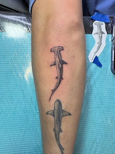 🦈 #hammerheadshark #armtattoo #auburn #opelika #tattooartists
