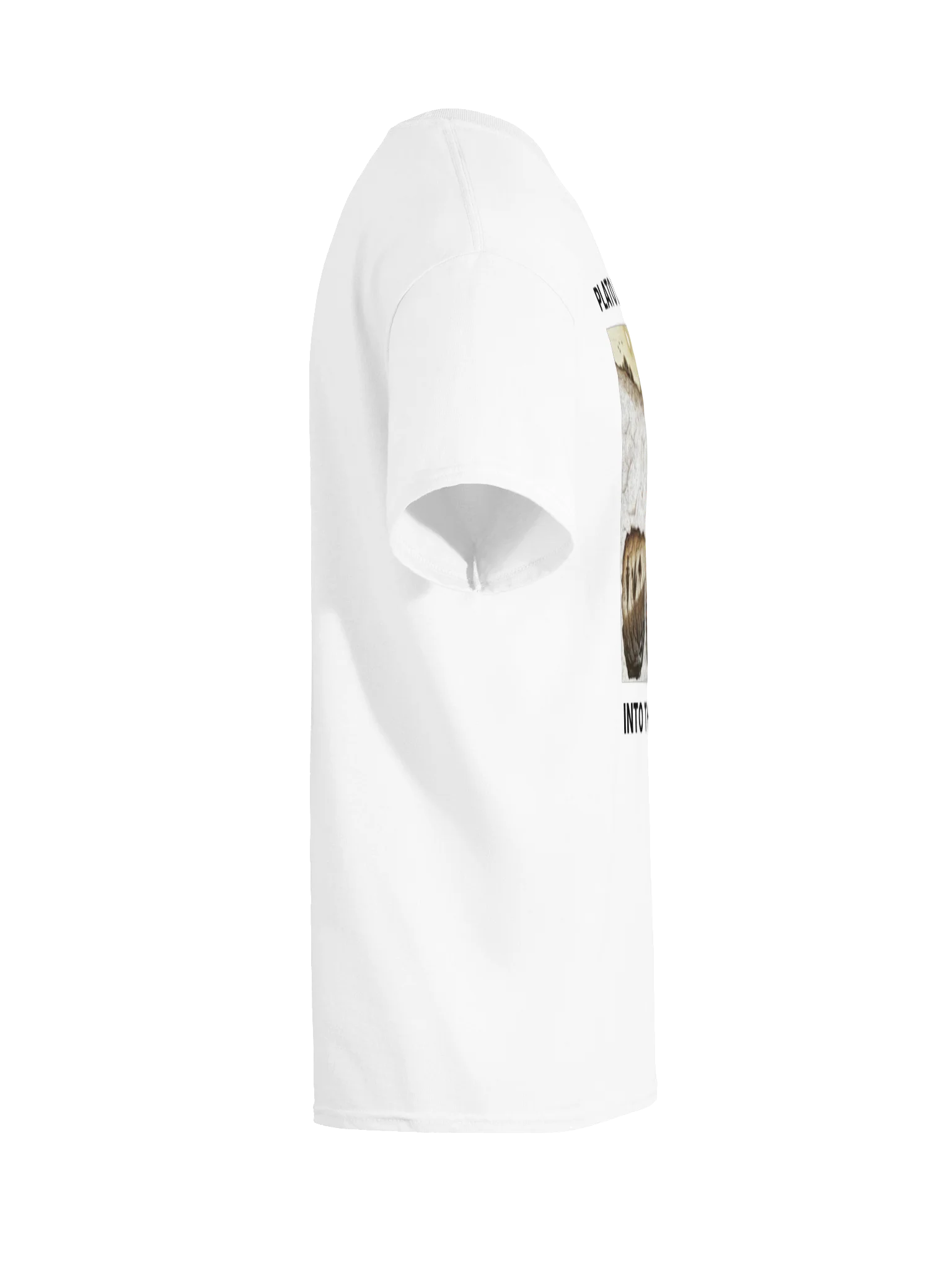 PLATO LET ME BACK INTO THE CAVE PLS product image (120)