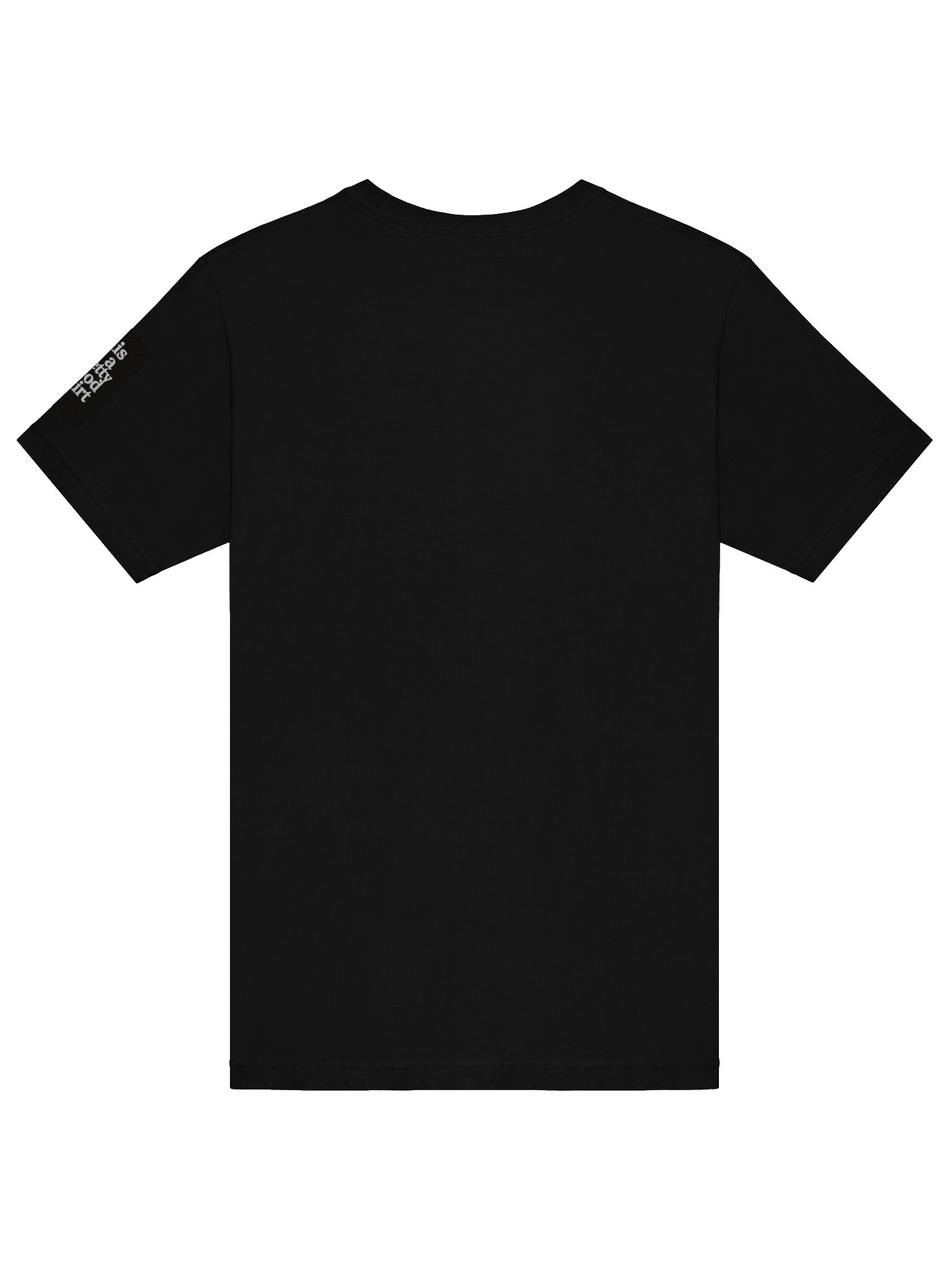 This is a pretty good shirt product image (6)