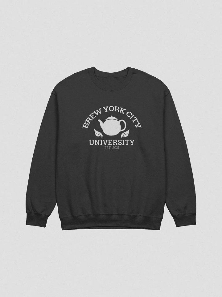Brew York City University Sweater product image (1)