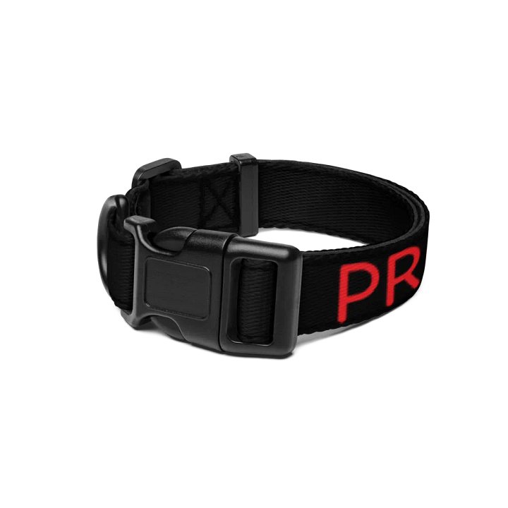 Bold Red Pet Collar by Pro Synth Network product image (1)