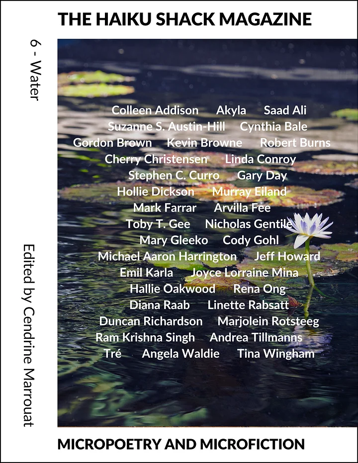 The Haiku Shack Magazine: Issue 6 product image (1)