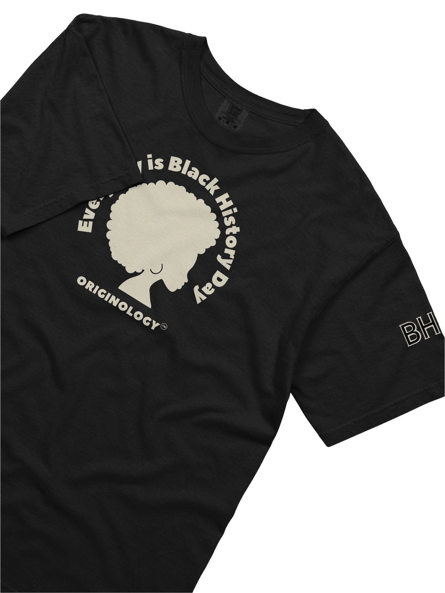 Everyday is Black History Day | Heavy T-Shirt | Originology | Black History X product image (10)